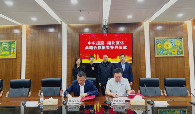 微信图片(文内)